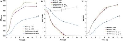 Sated by a Zero-Calorie Sweetener: Wastewater Bacteria Can Feed on Acesulfame